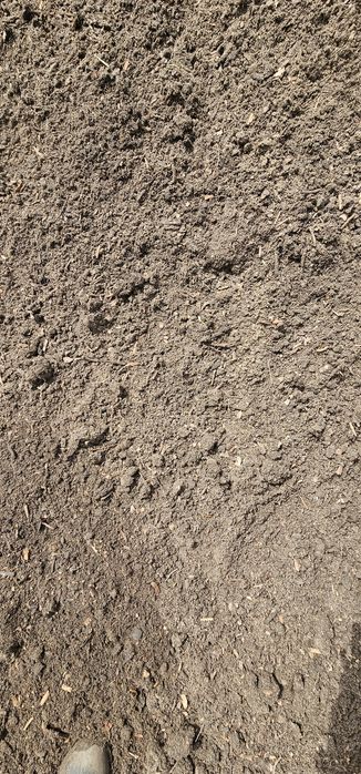 Ziemia siana czarnoziem