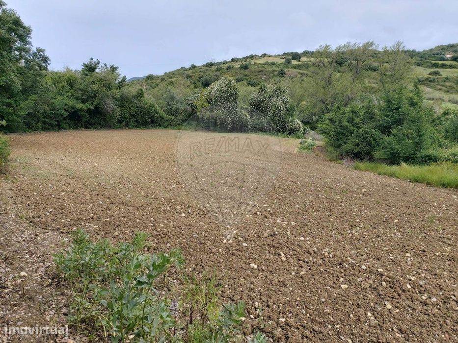 Terreno  para venda