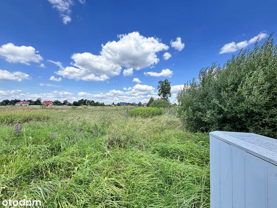 MPZP | Asfalt | 15 km do Lubina i Polkowic | Media | Nowa zabudowa - Widok 4