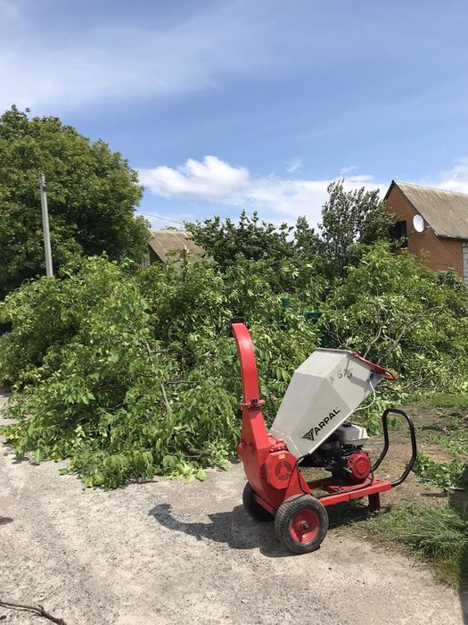 Валка деревьев, уборка территории, чистка и срез сосен