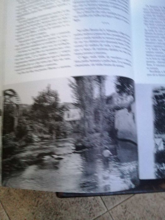 pinceladas torrejanas , joaquim rodrigues bicho , 2000