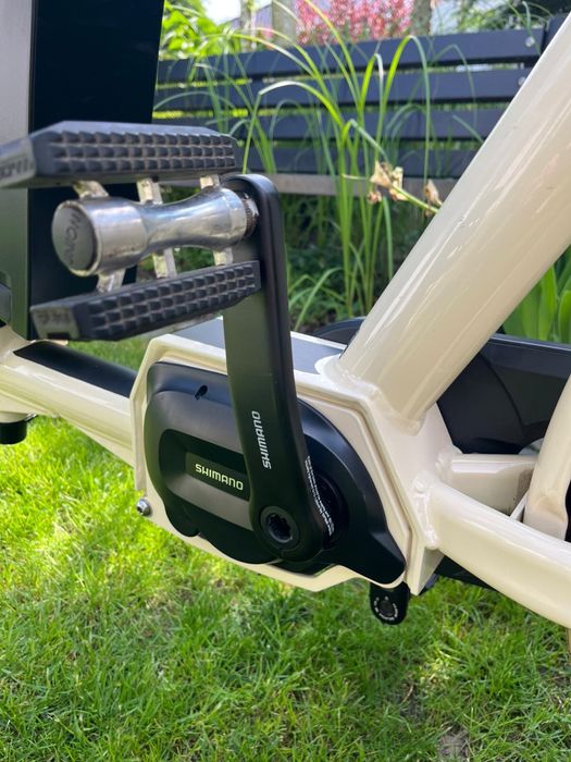 Rower Elektryczny Transportowy Cargo Long