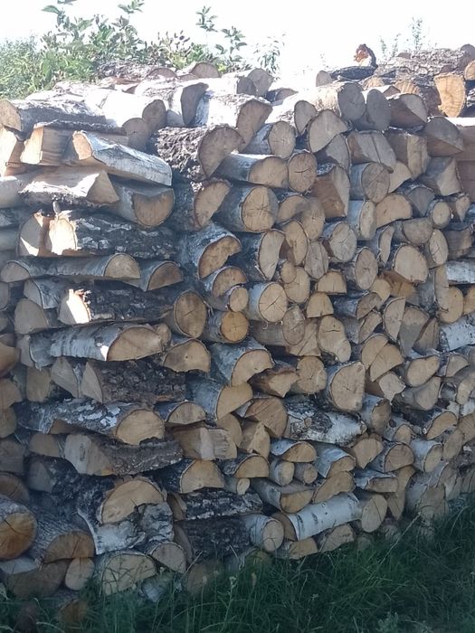 SUCHE drewno Dąb grab wiąz