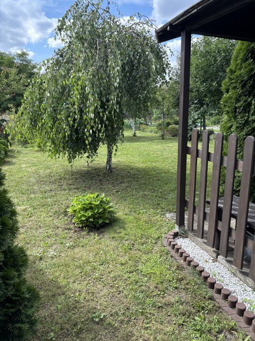 Działka ROD Pruszcz Gdański - Widok 2