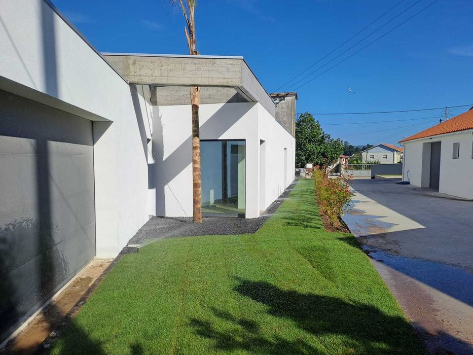 Criação e Manutenção de Jardim! Plantas/Palmeiras/Coqueiros/Sebe