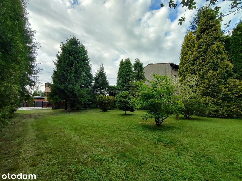 1615 m² - gotowy OGRÓD marzeń - Kamień