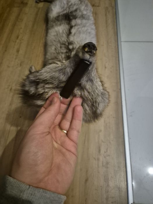 Szal z lisa prawdziwy