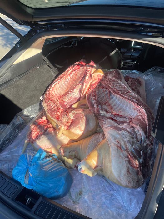 Продаж домашнього свиного м'яса Тушка 140грн 1 кг