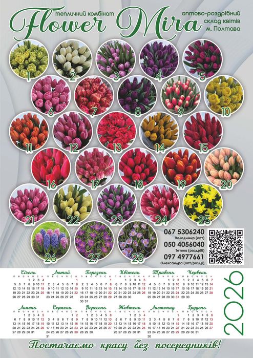 Тюльпани оптом та роздріб.