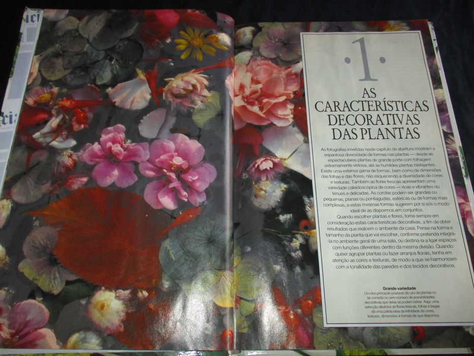 Livro O Jardim em Casa Plantas de Interior