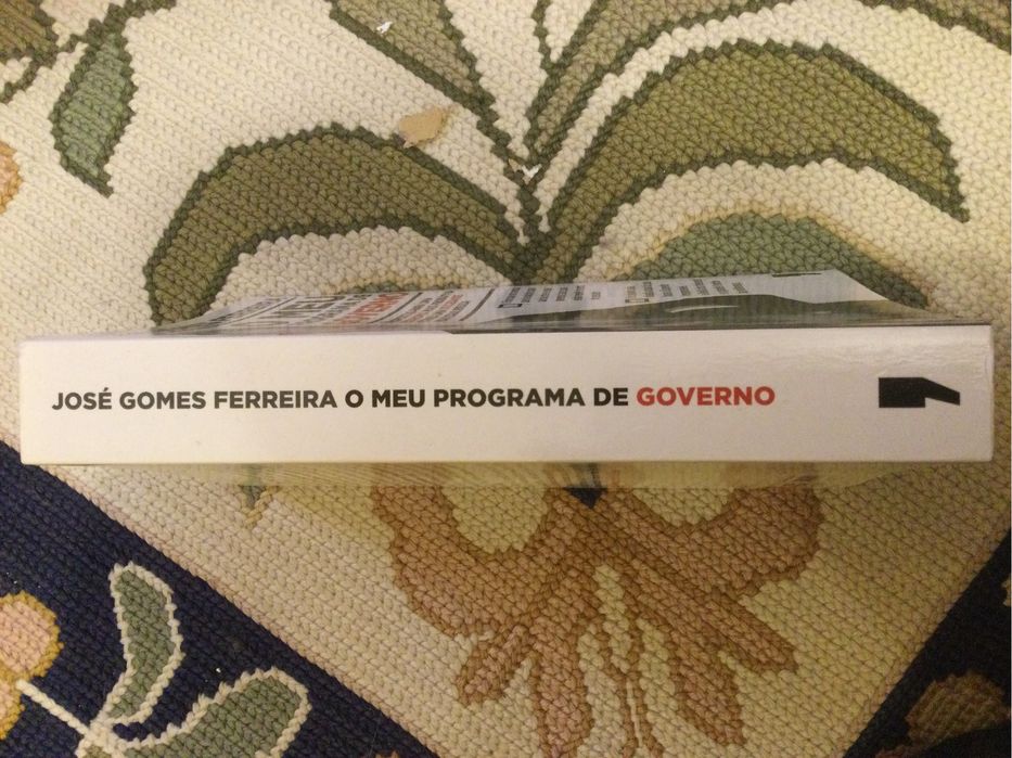 O meu programa de governo