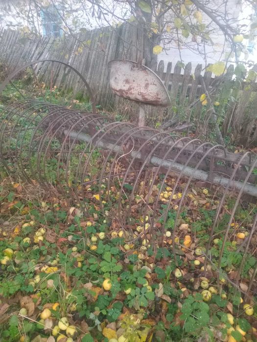 Продам кіну гребачку