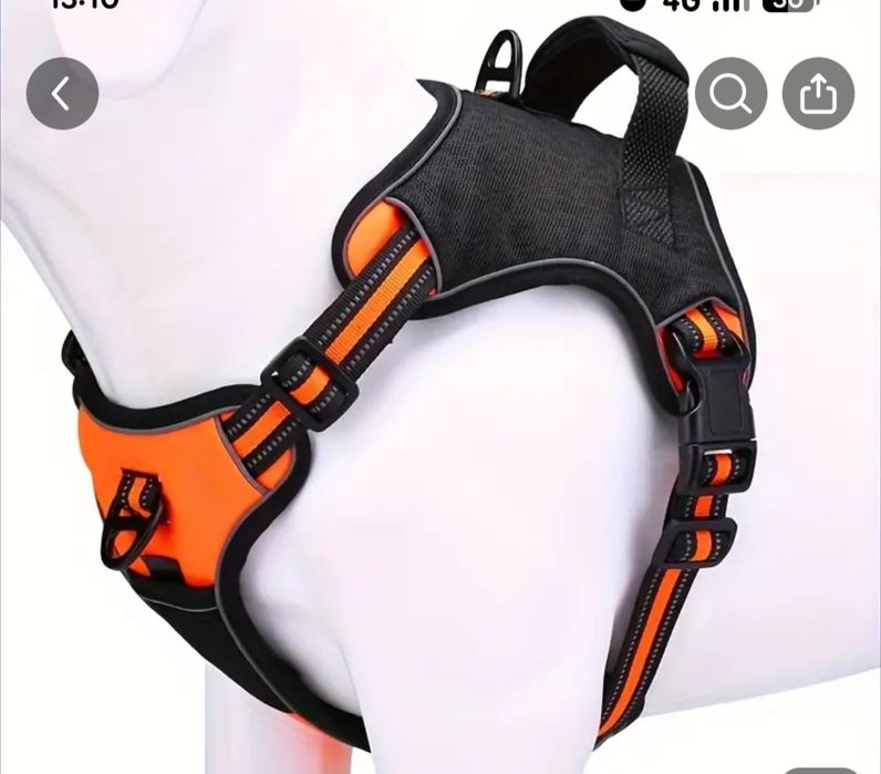 Аксесуари собакам і котикам: шлея, нашийник ЛЕД, поїлка, адресник