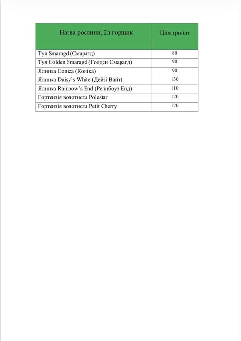 Туя смарагд 45-50см в горщику 2л