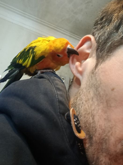 araktinga muito meiga