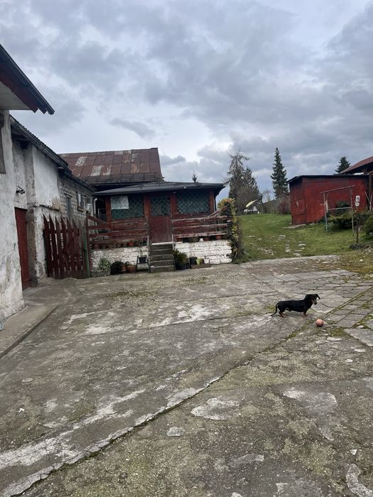 Dom Dytmarów obok Prudnika
