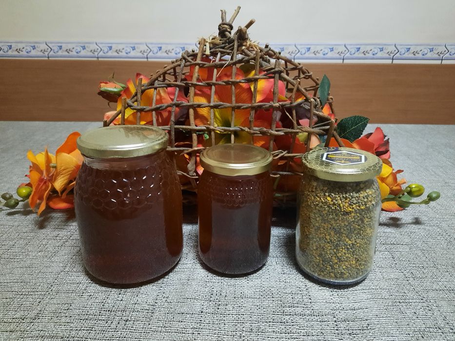 Mel puro de Trás os Montes