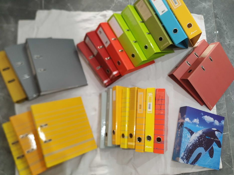 Dossiers (várias cores, tamanhos e modelos)