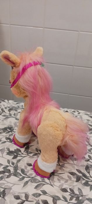 Poney ELegante novo