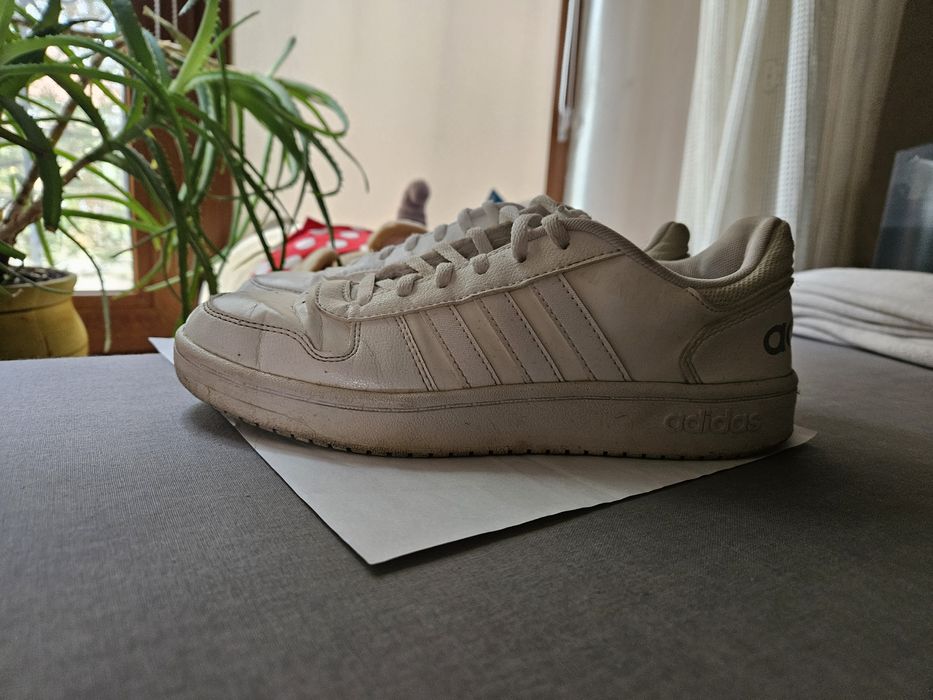 Кеди Adidas жіночі