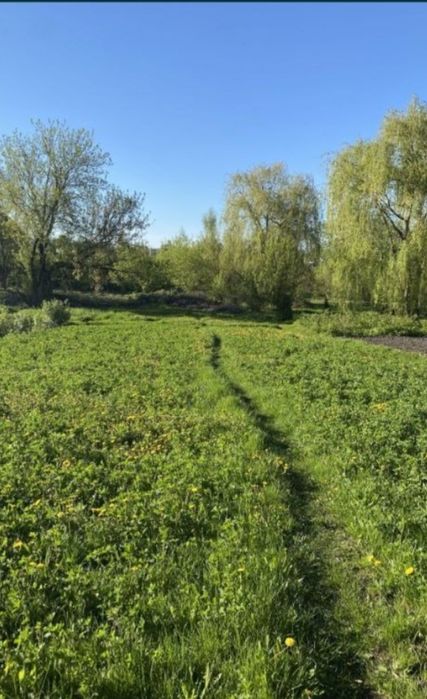 Ваша мрія !!!Старовинна садиба  в Центрі  міста з великою ділянкою