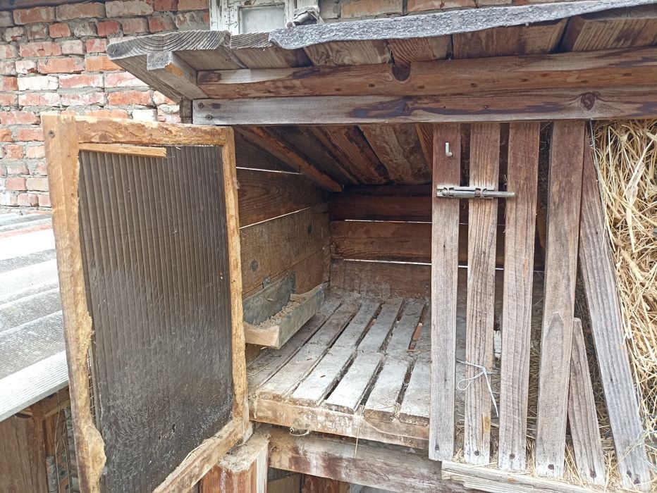 Клітки для кролів
