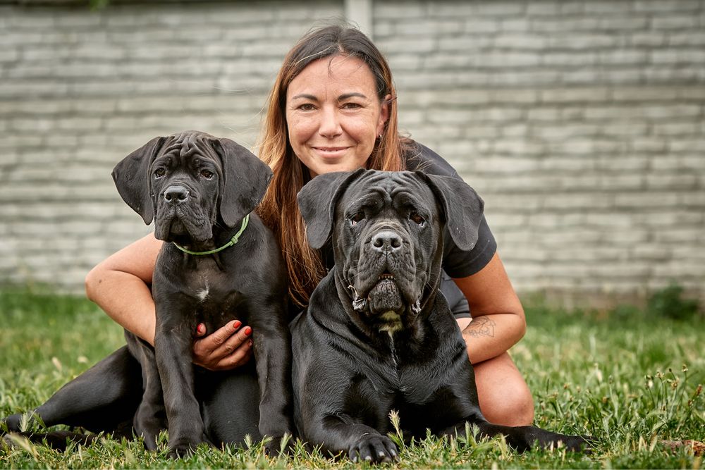 Крупні,пордні цуценята