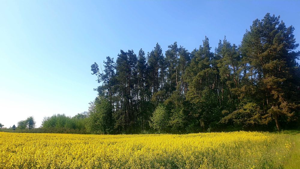 Sprzedam działkę budowlaną - Widok 5