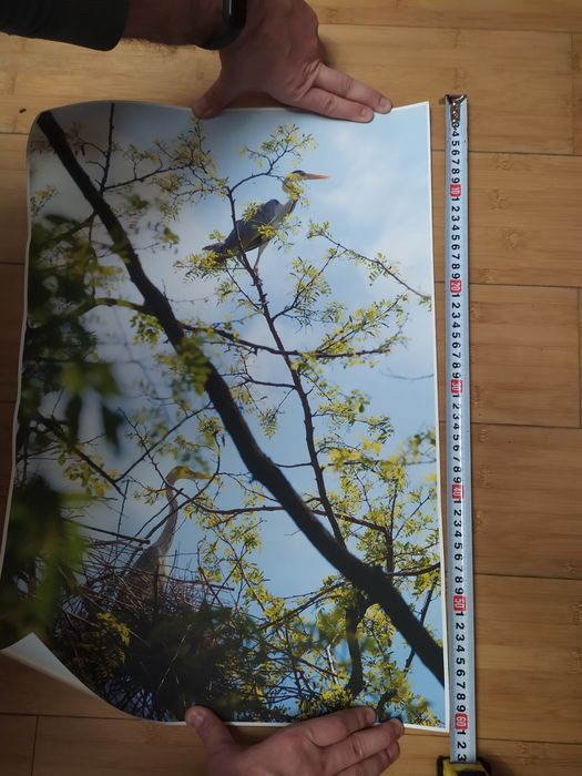 Фотообои наклейка на стену