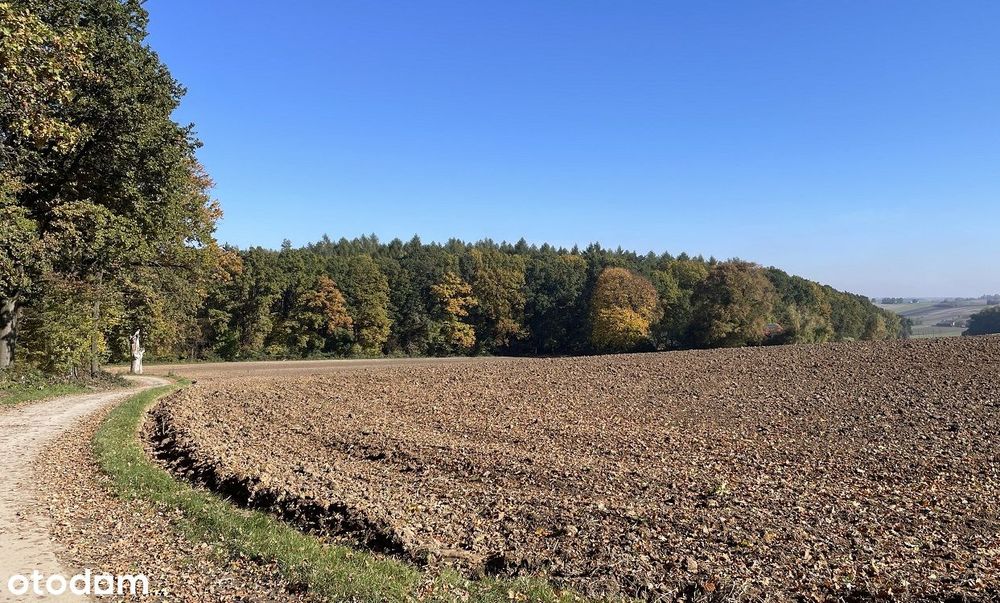 Słoneczna działka na południowym stoku z panoramicznym widokiem na las