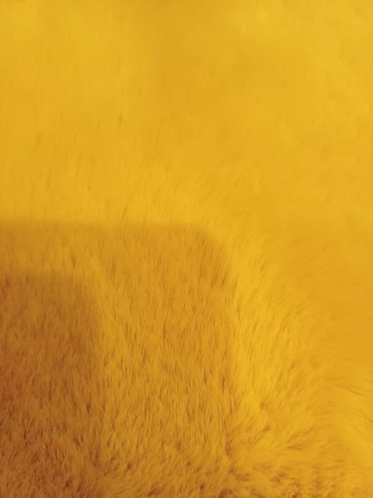 Dywan Oslo 60 ×115  cm żółty nowy.