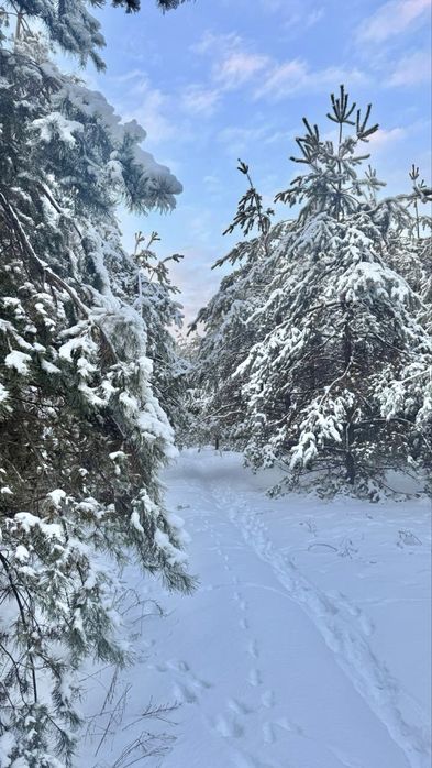 Земельна ділянка 2 Га!!! Копилів ! Терміново!