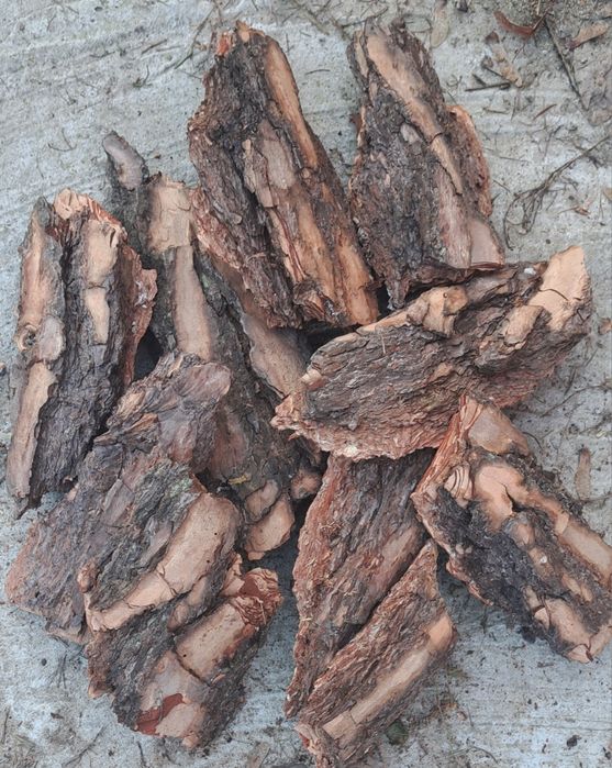 Kora sosnowa gruba 80l transport - ozdobna