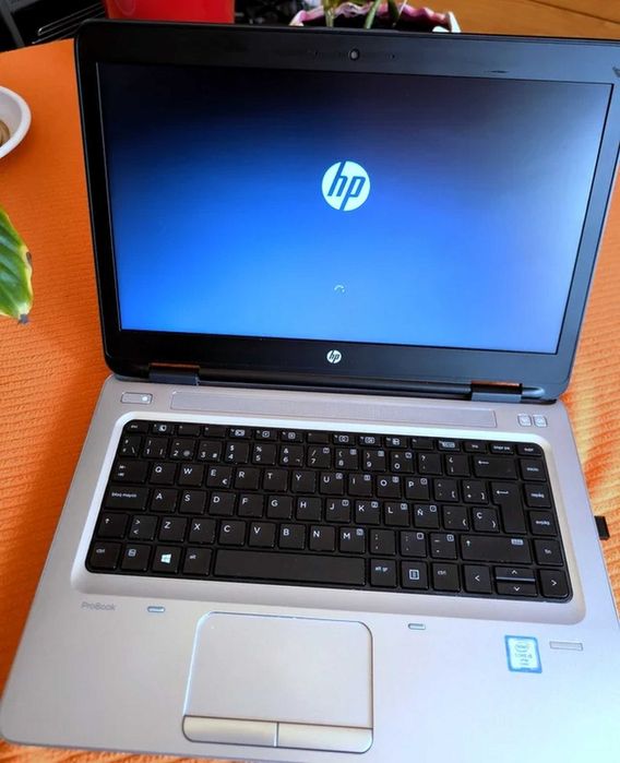 HP ProBook 14" i5/8GB/256GB NVMe Professional Version64739310576257124