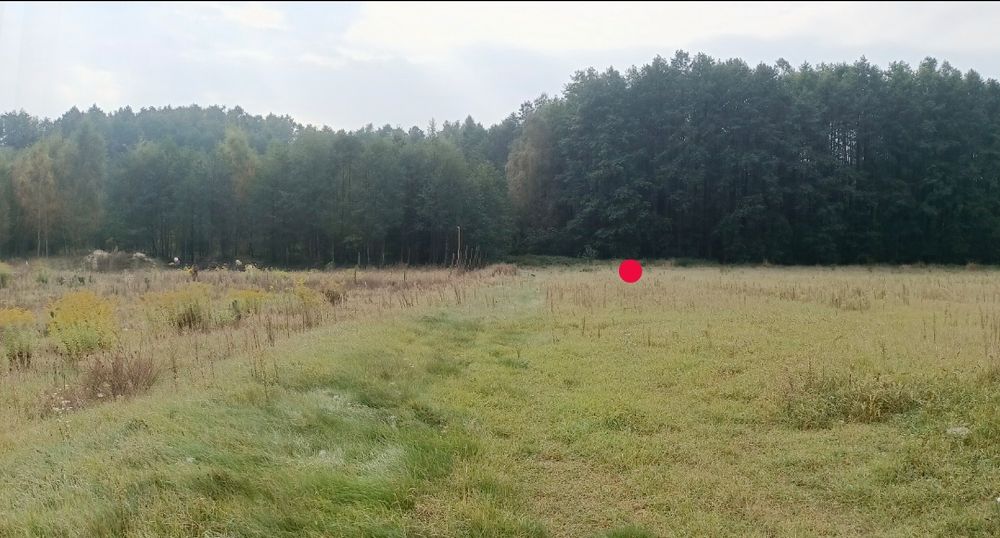 WYJATKOWA DZIAŁKA 1245 m² W KURIANACH - cisza, zieleń i spokój - Widok 4