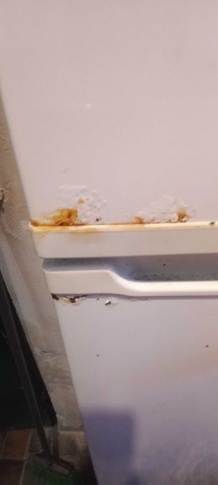 Frigorífico Selectline com congelador superior