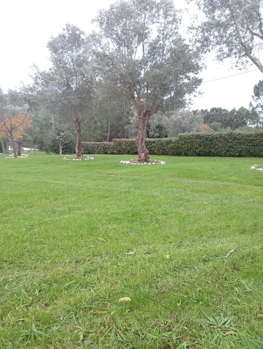 Serviço de limpeza de terrenos/ jardinagem