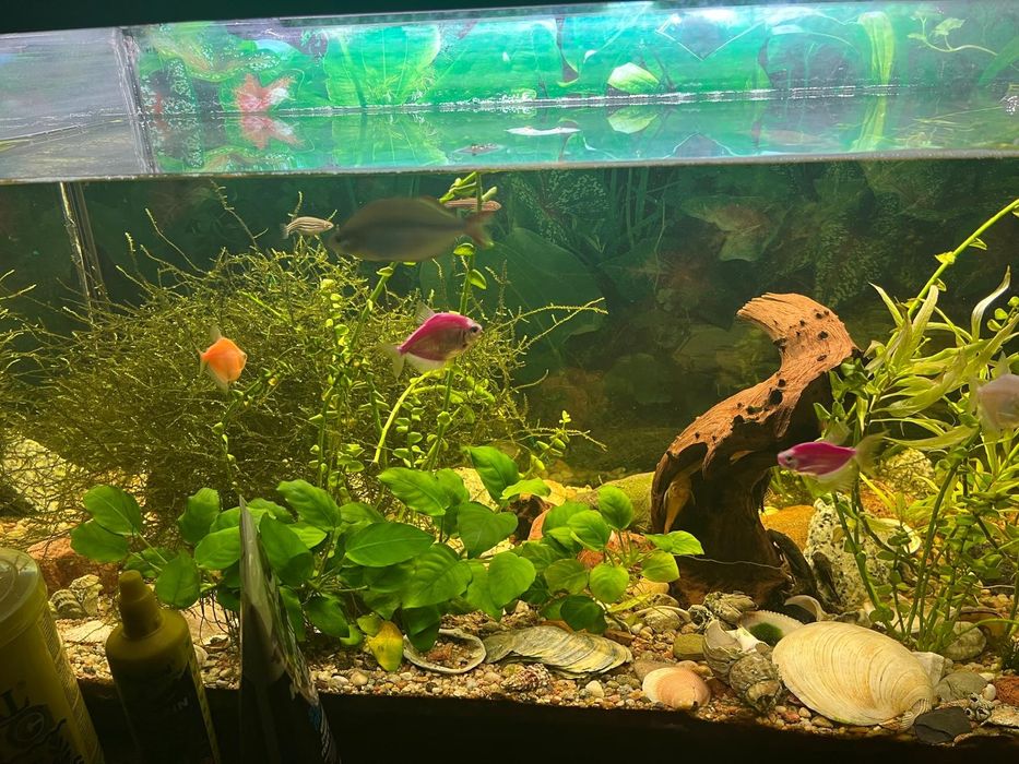 Sprzedam akwarium 112l