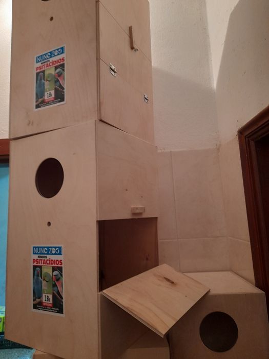 Ninhos psitacidios 50×30×30