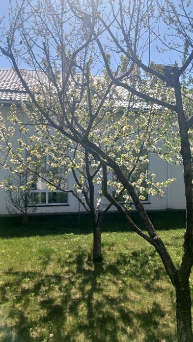 Продам будинок 5 км від Знака Кременчук село Піщане