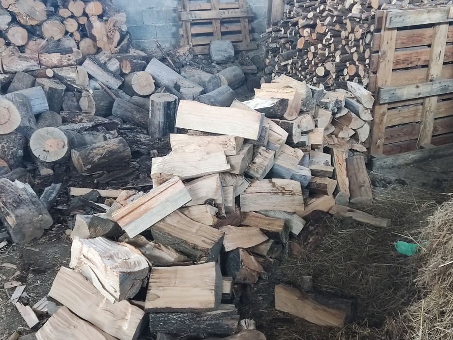 Vende se  lenha bem seca