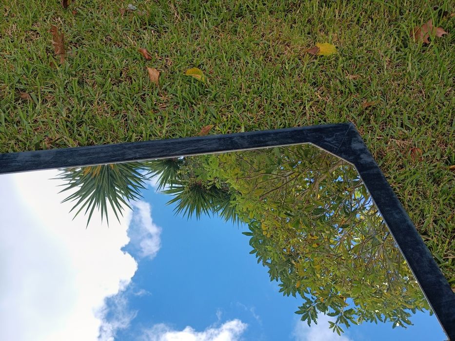 Espelho com moldura em madeira forrado a veludo.
Medidas: 165/52cm