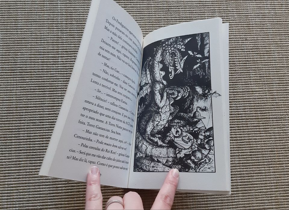 Livro 3 da colecção Academia dos Caça-dragões