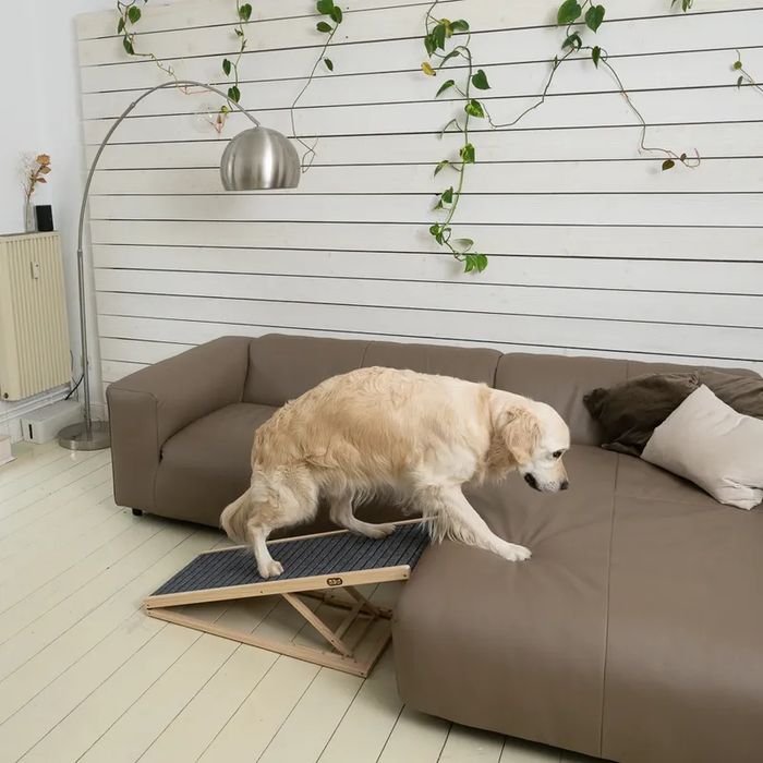 TIAKI Rampa dla Zwierząt Psa Kota Up & Down L 100x40x32-60cm N