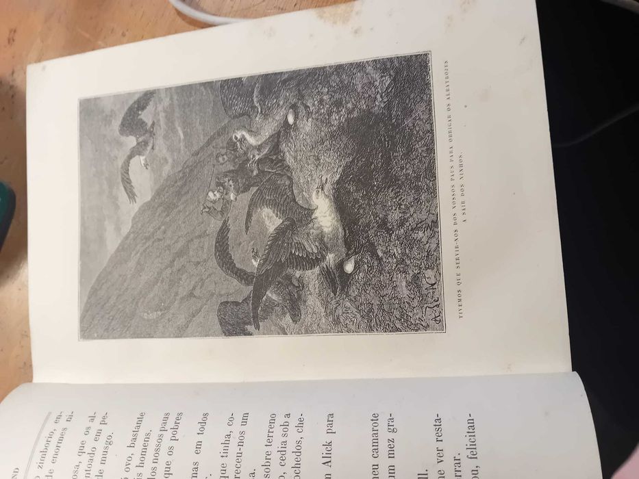 F. E. Raynal, Os Naufragos das Ilhas Auckland 1882