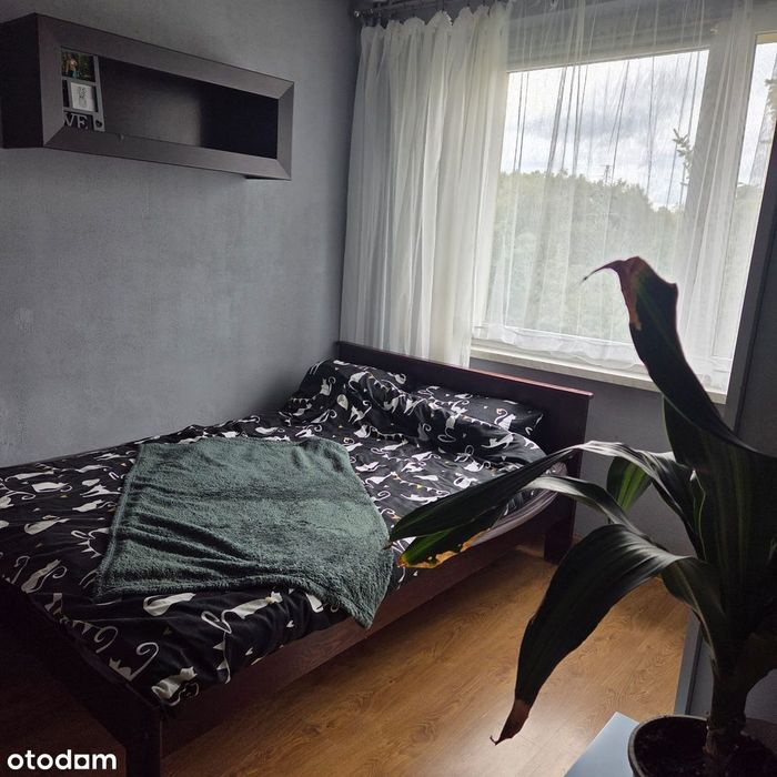 Zdjęcie 3