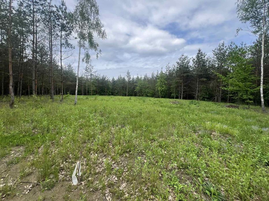 Продаж ділянки біля лісу с. Славне
