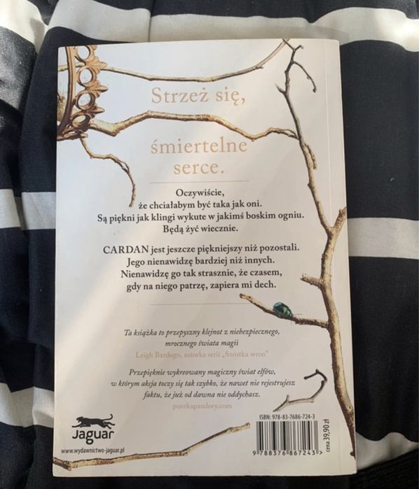Książka Okrutny Książe Holly Black