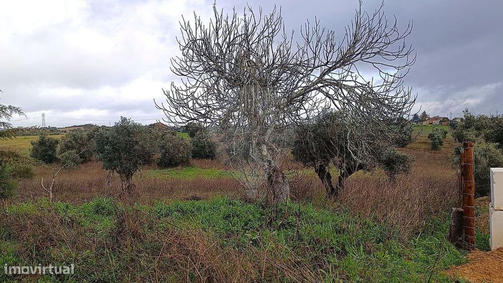 Terreno  para venda — São Vicente Do Paul E Vale De Figueira, Santarém