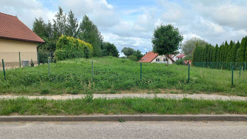 Zdjęcie 5